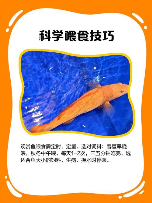 如何預防對過背金龍的過敏反應？