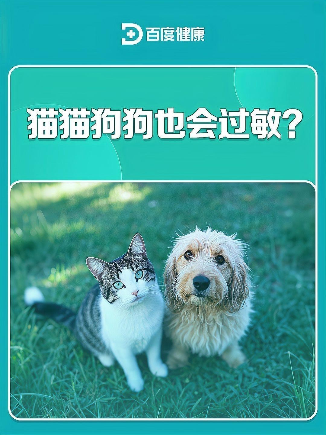 如何預防對過背金龍的過敏反應？