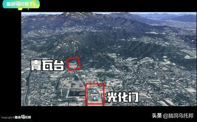 龍魚虎魚飛鳳寓意：龍魚、虎魚和飛鳳混養(yǎng)風水講究