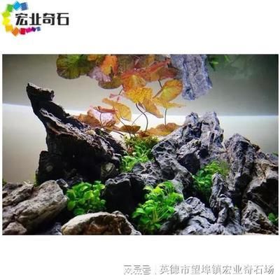 龍魚缸石頭造景，龍魚缸石頭造景創(chuàng)意方案如何選擇適合龍魚的石頭