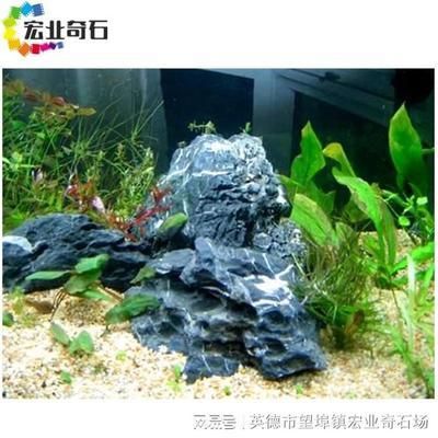 龍魚缸石頭造景，龍魚缸石頭造景創意方案如何選擇適合龍魚的石頭