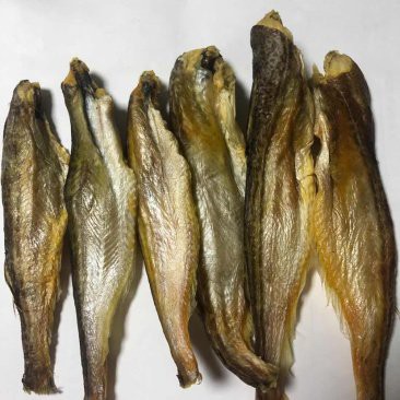 成都哪里有賣龍魚的 成都哪里有賣龍魚的 龍魚百科 第21張