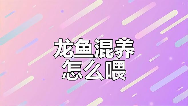 和龍魚混養的魚吃什么