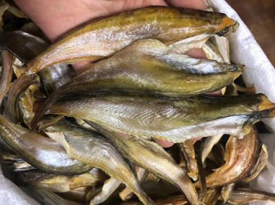 龍魚哪里的好吃又便宜的：廣州海鮮批發市場攻略