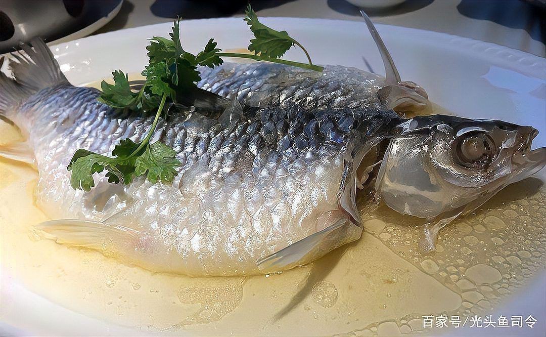 馬來西亞魚王忘不了