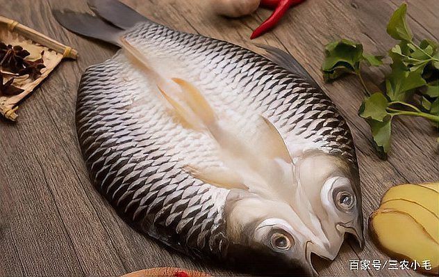 馬來西亞魚王忘不了