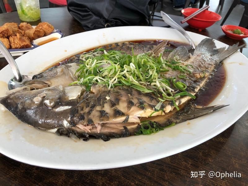 馬來西亞魚王忘不了