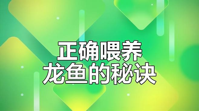 過(guò)背金龍魚(yú)喂食量如何控制？