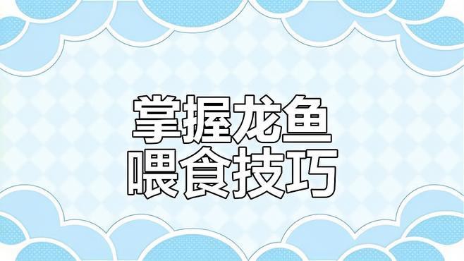 過(guò)背金龍魚(yú)喂食量如何控制？