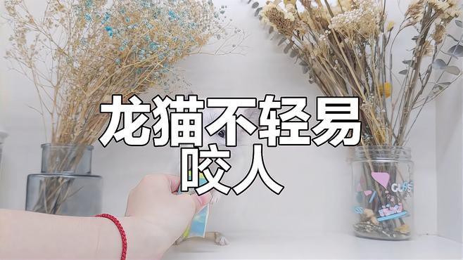 龍貓認(rèn)主后還會(huì)咬人嗎？