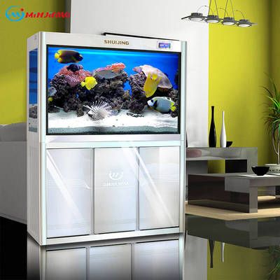 龍魚用led燈行嗎：如何選擇適合龍魚的led燈