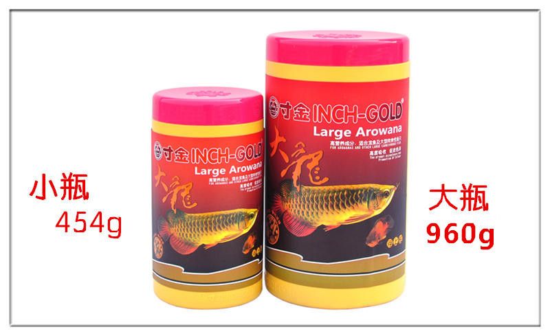 龍魚喂什么便宜些好：喂食龍魚時需要考慮食物的營養成分、價格和健康的潛在影響