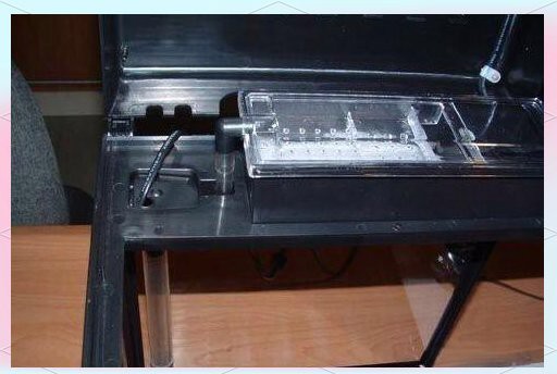 過背金龍需要什么樣的過濾系統？ 過背金龍需要什么樣的過濾系統？ 龍魚百科 第8張