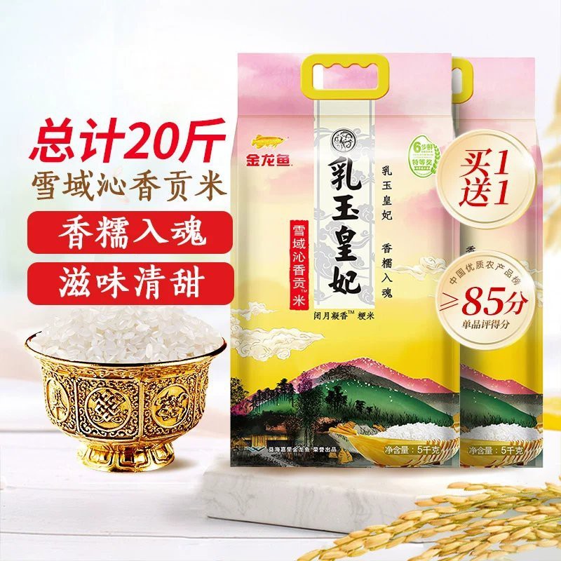 哪里可以購買到正宗的金頭金龍魚？