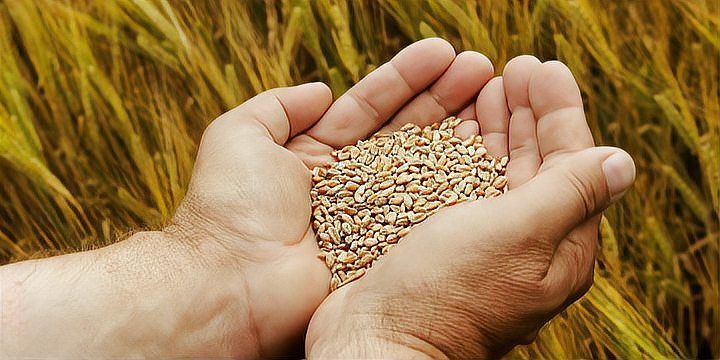 金龍魚公司總部