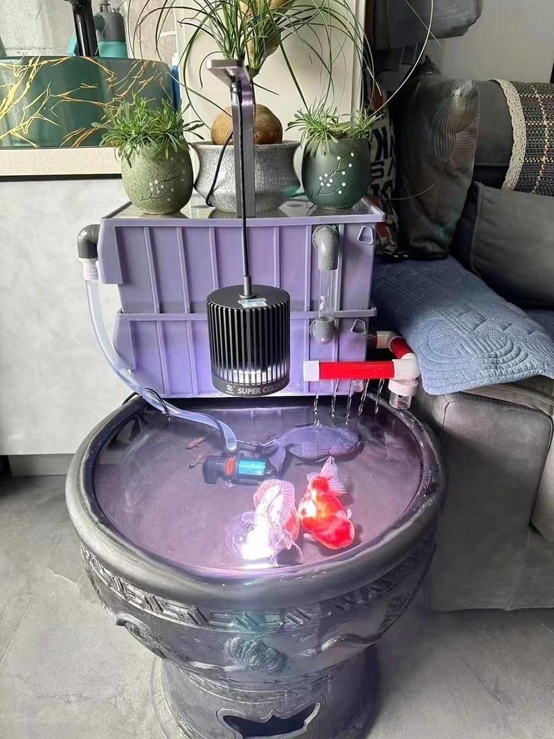 馬印燈擺放位置示意圖