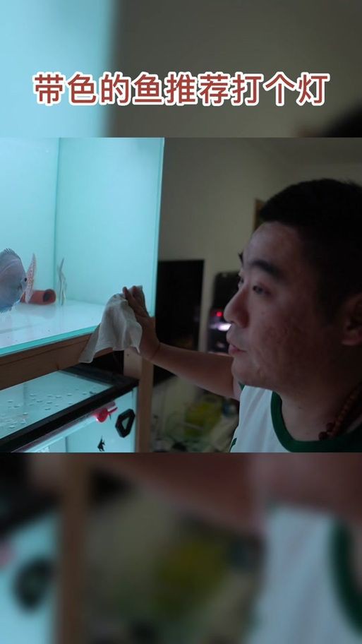 馬印燈擺放位置示意圖