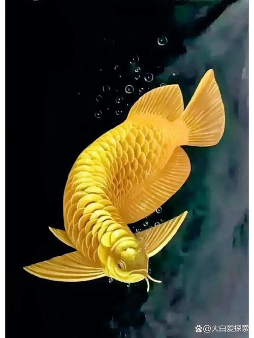 有沒有更多風格的金龍魚壁紙？