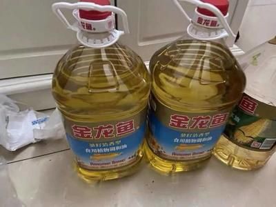 金龍魚值得買嗎值得買嗎（金龍魚觀賞魚養護技巧分享）