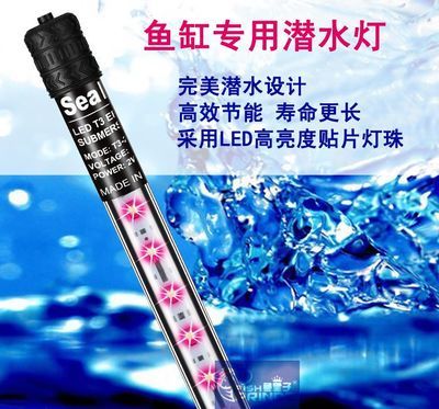 龍魚(yú)能用led燈嗎（如何選擇適合龍魚(yú)的led燈）