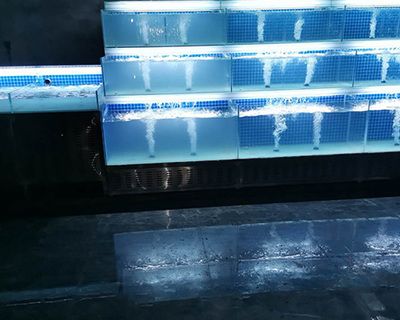 大同龍魚手術醫院排行榜：大同市龍魚手術醫院排行榜