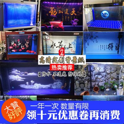 龍魚缸背景畫法：如何設計龍魚缸背景