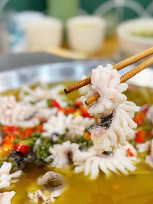 烏龍魚是什么樣子的