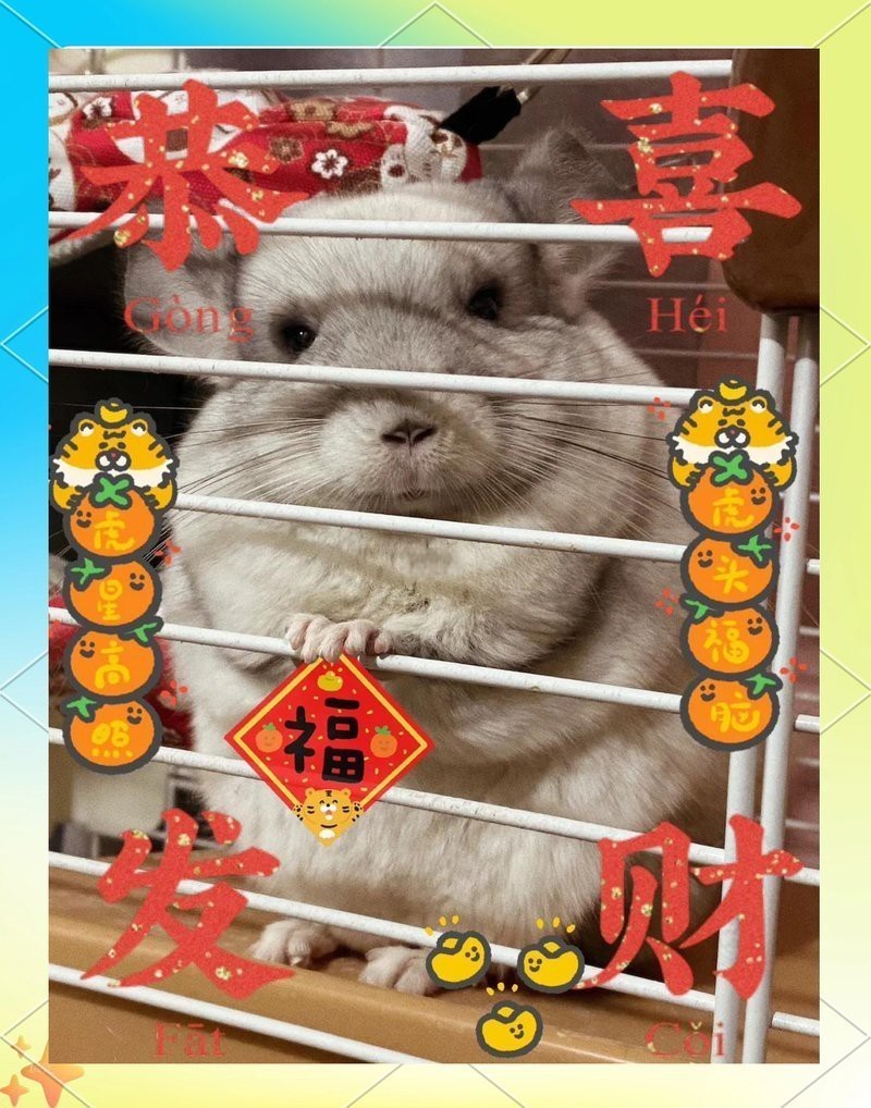 如何降低龍貓遺傳病的風險？