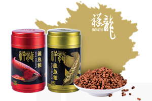 紅龍魚飼料品質排名榜最新（紅龍魚飼料品牌排名榜）