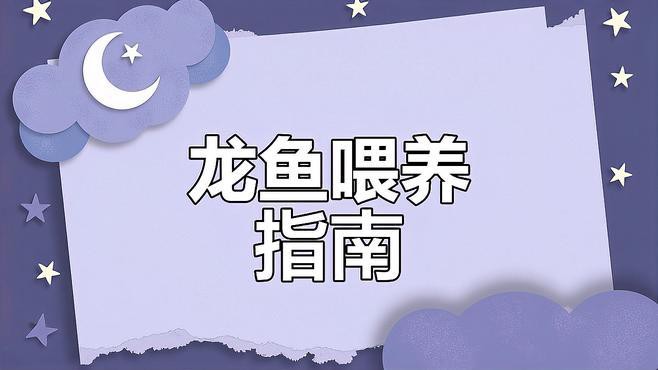 金龍魚人工飼料哪個品牌好？