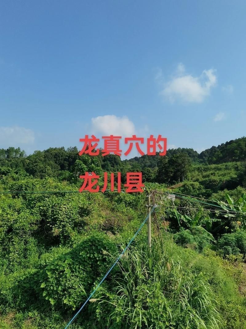 龍形地的風水圖片大全
