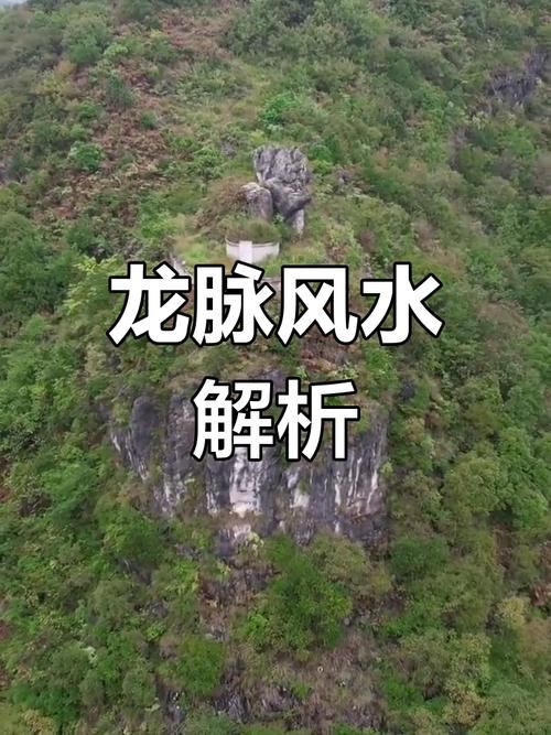 龍形地的風水圖片大全