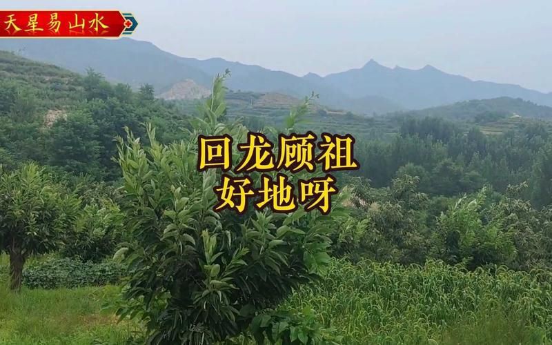 龍形地的風水圖片大全