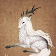 龍形地的風水圖片大全