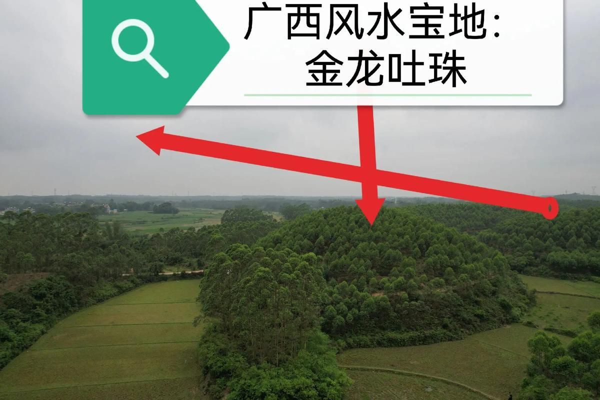 龍形地的風水圖片大全