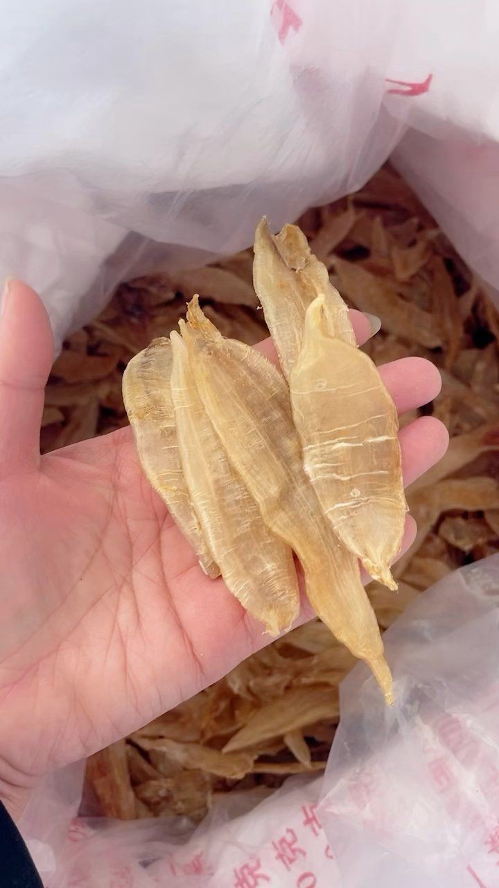 小金龍魚膠多少錢一斤