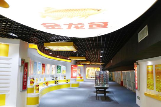 金龍魚高端產品介紹文案范文（金龍魚高端產品）