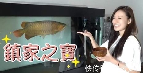 龍魚(yú)浮在水面角落不動(dòng)怎么回事：龍魚(yú)浮在水面角落不動(dòng)可能由以下幾個(gè)原因引起水質(zhì)問(wèn)題