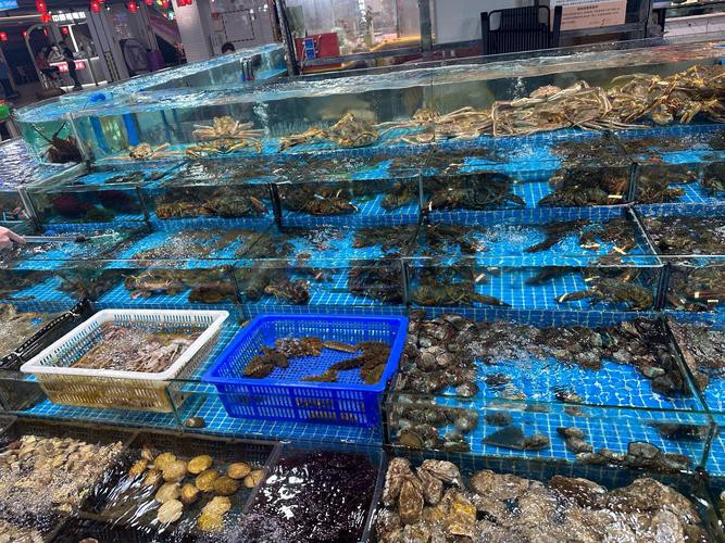 溫州龍魚哪里賣的好吃又便宜