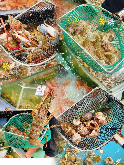 溫州龍魚哪里賣的好吃又便宜