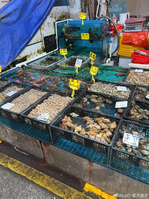 溫州龍魚哪里賣的好吃又便宜