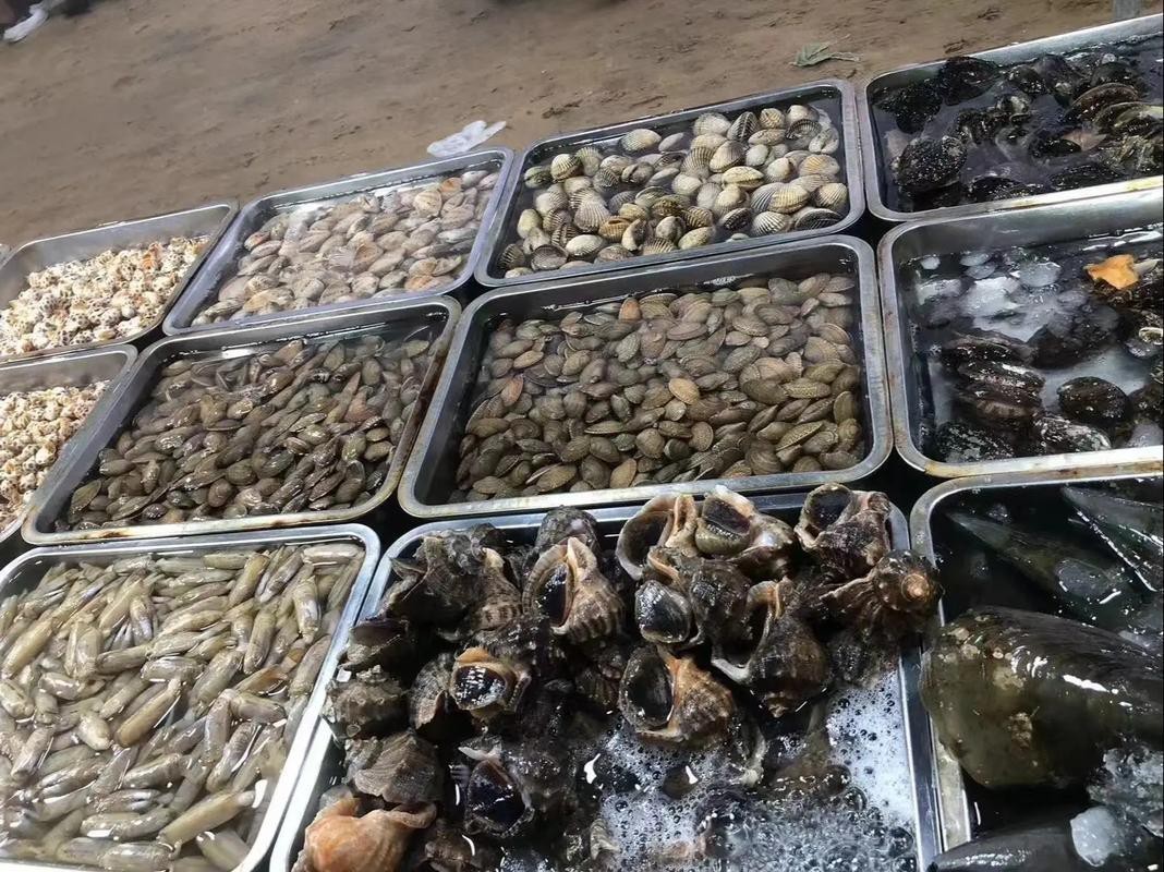 溫州龍魚哪里賣的好吃又便宜