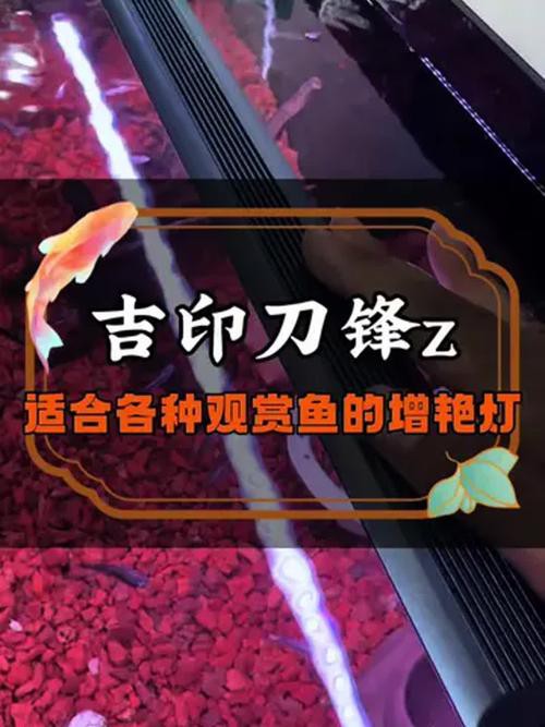 吉印刀鋒Z系列詳細參數