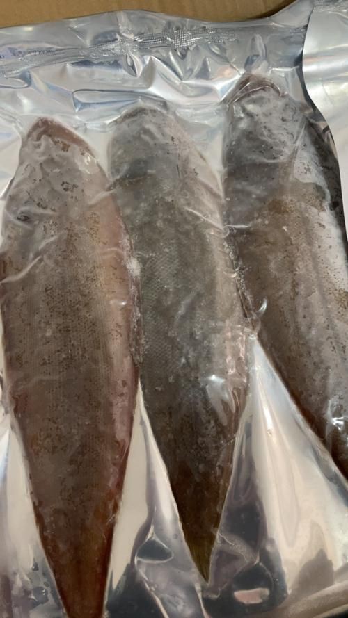 龍利魚長啥樣圖片