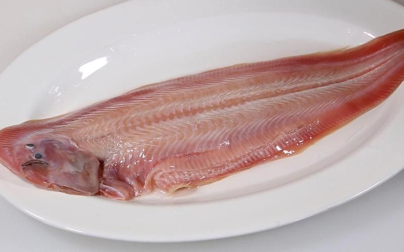 龍利魚長啥樣圖片