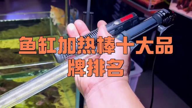 有哪些品牌加熱棒適合金龍魚