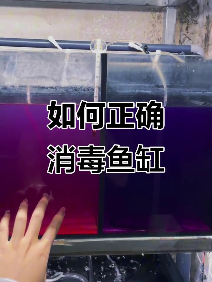 龍魚死亡后多久徹底消毒魚缸