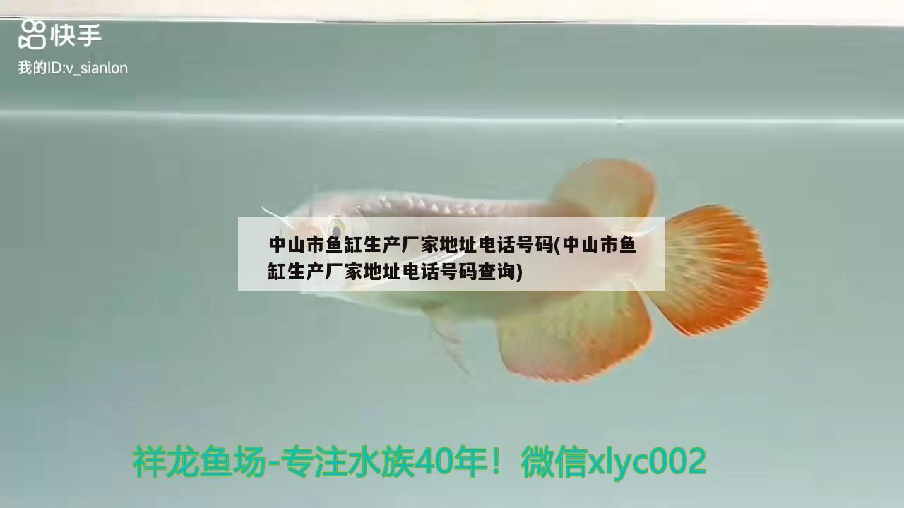 中山市魚缸生產廠家地址電話號碼(中山市魚缸生產廠家地址電話號碼查詢)