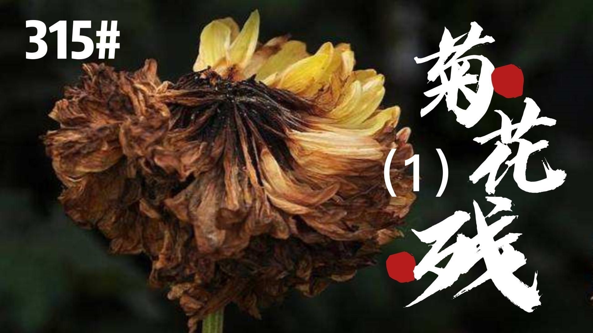 如何預(yù)防龍魚(yú)病理性拖便