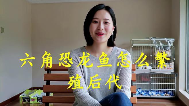六角恐龍繁殖時需要注意什么？